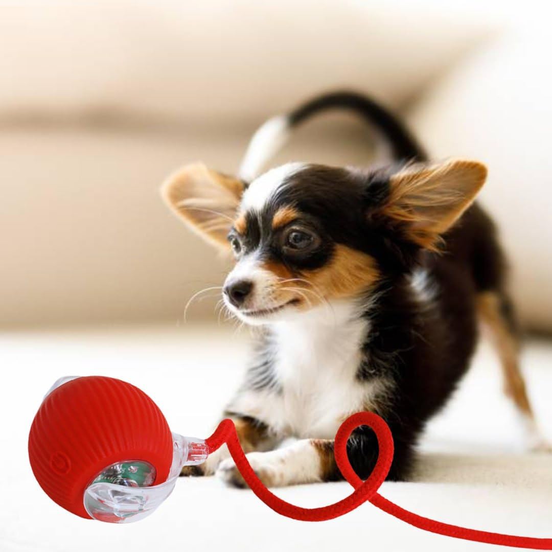 Automatic Ball for Small Dogs & Cats - Activated Moving Toy, Rechargeable, Self Play, Ball Toy with Long Tail Teaser