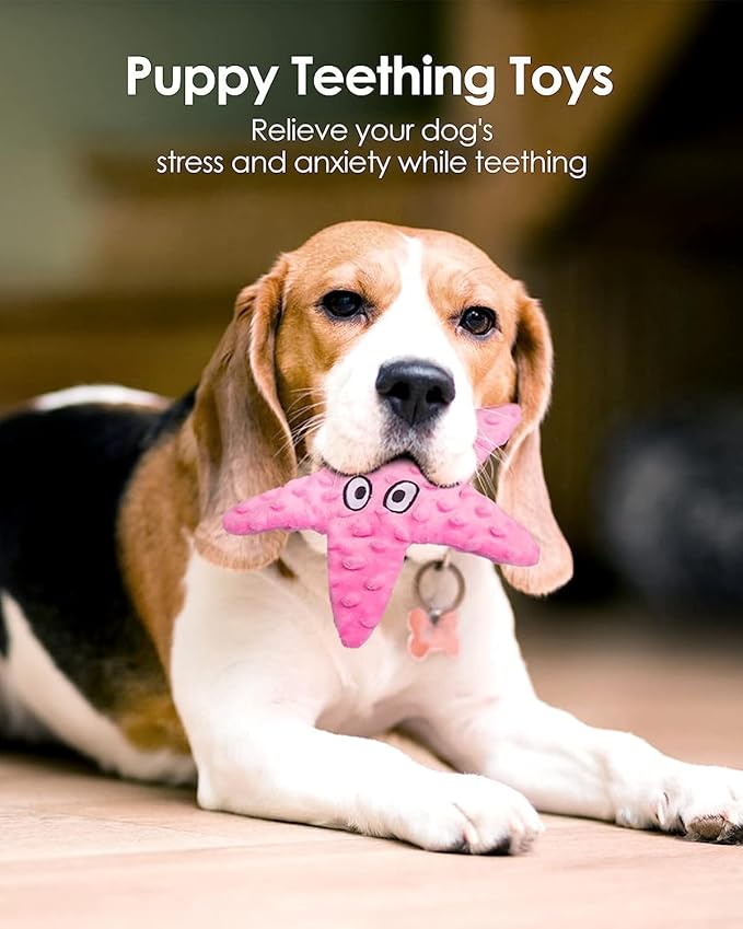 Artinova Dog Squeaky Crinkle Stuffless Chew Toy Easy Puzzle Cute Pink Starfish