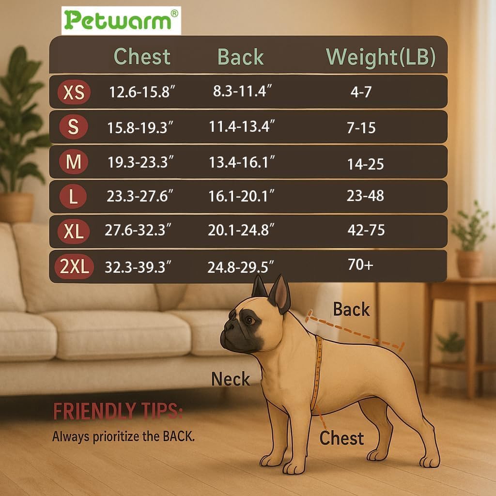 PetWarm Reversible Dog Winter Coat, Windproof Dog Puffer Vest, Soft Vest for Dogs with Hook-and-Loop Strap for Easy Dressing, Waterproof Coat for Dogs with Adjustable Fit, Green, S