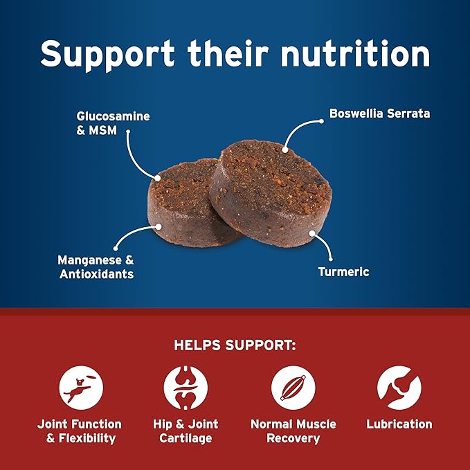 Bundle of Seresto Large Dog Collar for Dogs Over 18 lbs. + Pet Protect Hip & Joint Supplement for Dogs 60 Chews