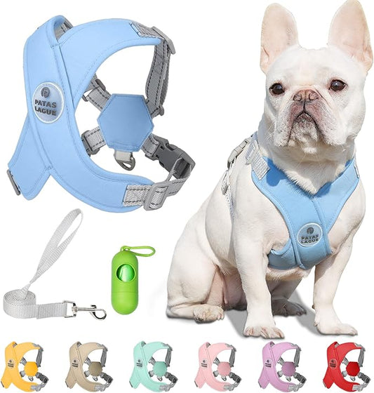 Patas Lague Dog Harness with Leash Set Adjustable Soft Padded Step-in Dog Vest No Choke No Pull Reflective for Small Pets with Poop Bags and Dispenser, Solid and No-chew, Blue XS