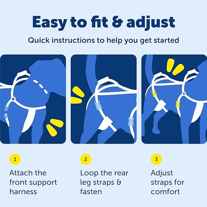 PetSafe CareLift Support Harness - Lifting Aid for Senior or Injured Dogs - Breathable Mesh - Machine Washable - Post-Surgery Dog Support - Large