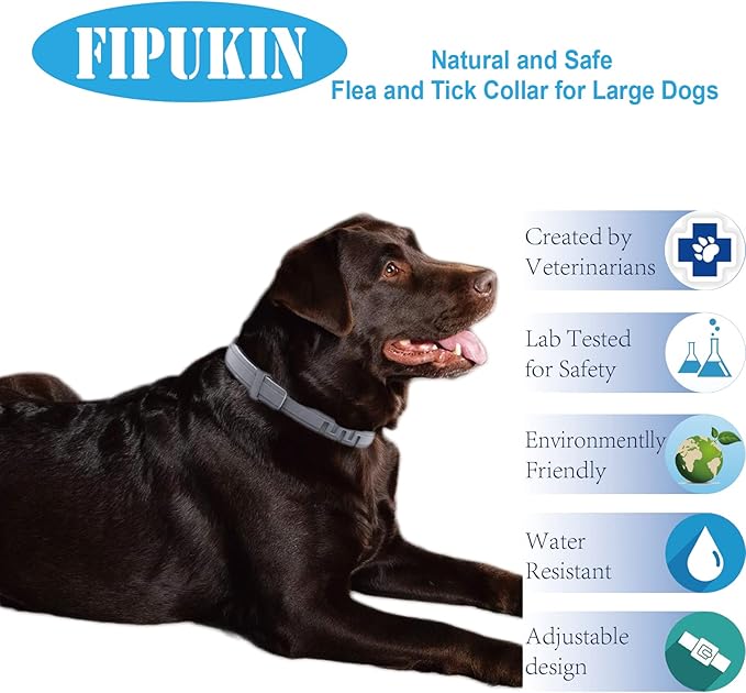 Natural Ingredients Flea Collar for Large Dogs,Safe and Effective Flea and Tick Collar, Waterproof,8 Months Protection Each,Free Comb and Tick Scoop,27.5 Inches,2-Pack