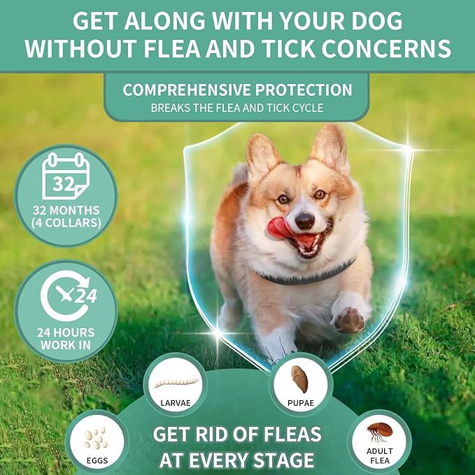 4 PCS Flea and Tick Collar for Dogs, 32 Months Protection Waterproof & Adjustable Dog Treatment Collar, Flea and Tick Prevention for Dogs & Puppies (Black)