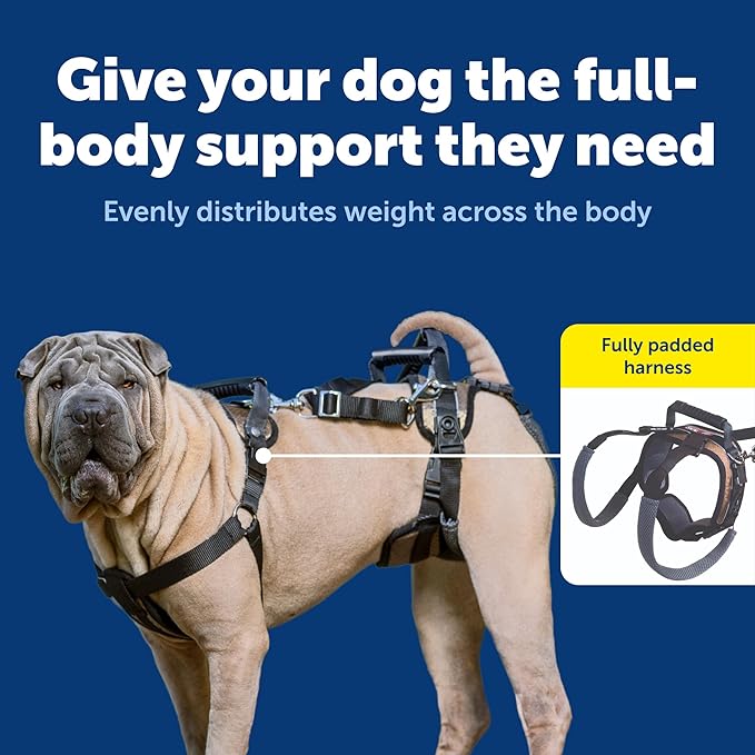 PetSafe CareLift Support Harness - Lifting Aid for Senior or Injured Dogs - Breathable Mesh - Machine Washable - Post-Surgery Dog Support - Medium