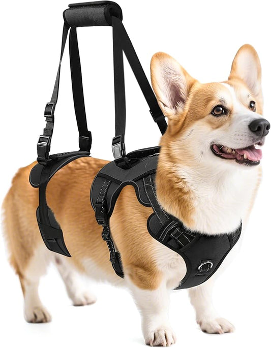 NOYAL Dog Lift Harness for Senior & Injured Pets – Full-Body Support Sling with Breathable Mesh, Front/Rear Leg Assist for Arthritis, Hip Dysplasia & Post-Surgery Recovery (Medium-Large Breeds)