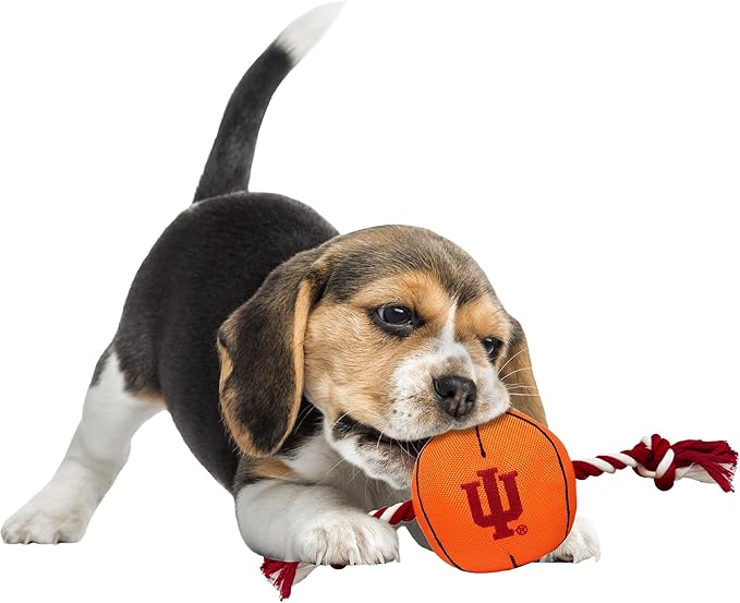 Pets First NCAA Indiana Hoosiers Basketball Rope Toy for Dogs & Cats. Tough Nylon, Sporty Basketball Design, Heavy-Duty Ropes with Inner Squeaker