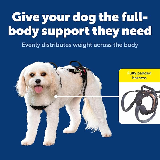 PetSafe CareLift Support Harness - Lifting Aid for Senior or Injured Dogs - Breathable Mesh - Machine Washable - Post-Surgery Dog Support - Small