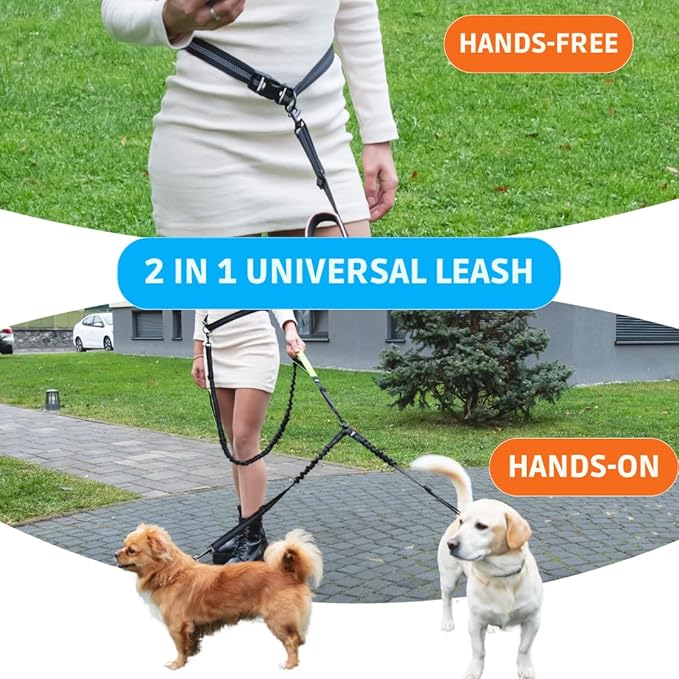 SparklyPets - Hands Free Double Dog Leash - Dual Leash for 2 Small Dogs - with Padded Handles, Reflective Stitches - No Pull, Tangle Free, for Dog Walking, Hiking, Canicross - for Small Dogs