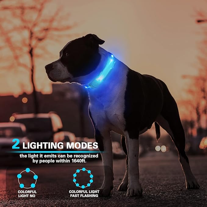 2 Pack LED Light for Dog Leash Harness, Light Up Dog Collar with Nylon Stickers, Waterproof Glow Light Easy to Attach to Collar Leash and Harness, Safety LED Light Up Band for Dogs at Night Walking