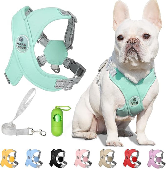 Patas Lague Dog Harness with Leash Set Adjustable Soft Padded Step-in Dog Vest No Choke No Pull Reflective for Small Medium Pets with Poop Bags and Dispenser, Solid and No-chew, Green M