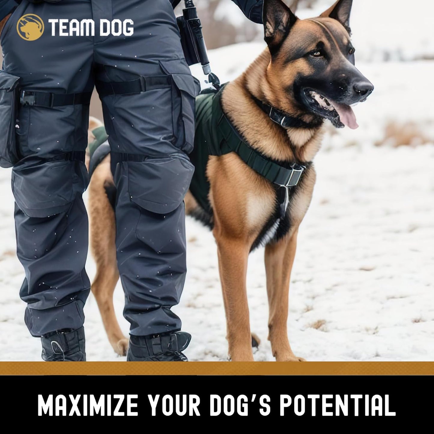 Team Dog Elite Blend Salmon Dog Food with Herring & Lentils | High Protein Dog Food for Sensitive Stomachs & Skin | Chicken Free, Gluten Free, GMO Free, No Corn, Wheat or Soy (33 lb)