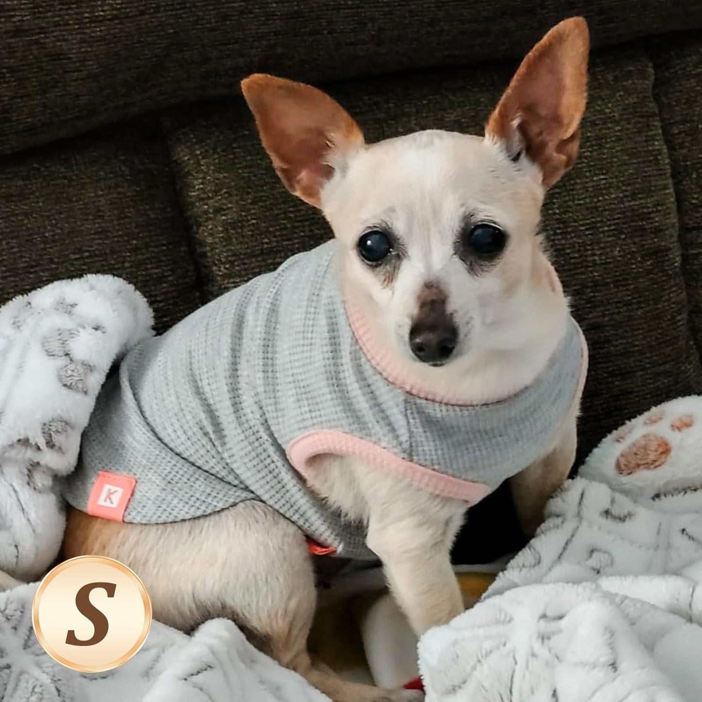 KYEESE 2Pack Dog Shirts Waffle for Small Dogs, Stretchy and Comfortable Dog T-Shirts, Lightweight Sleeveless Tank Top, Breathable Vest, Cat Shirt, Small, Purple + Grey