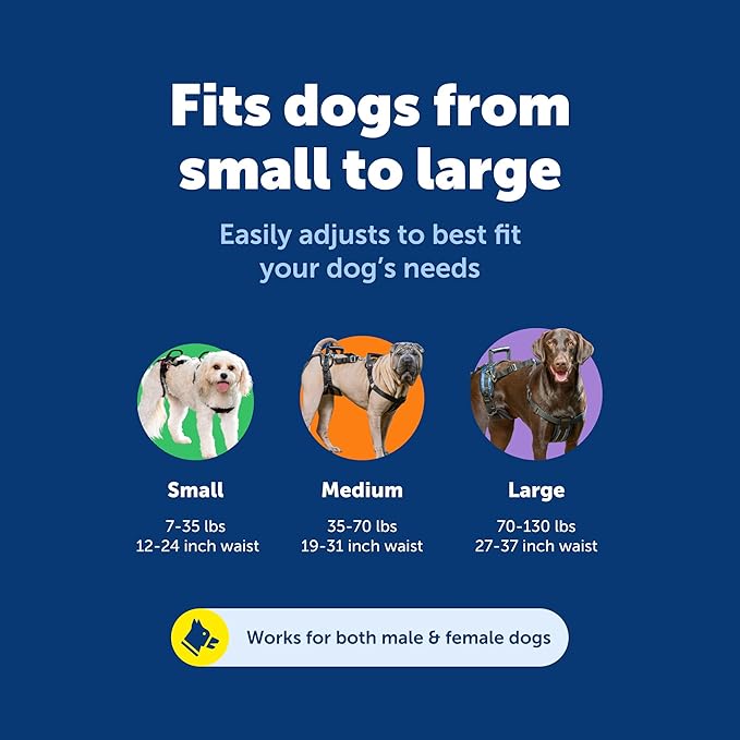 PetSafe CareLift Support Harness - Lifting Aid for Senior or Injured Dogs - Breathable Mesh - Machine Washable - Post-Surgery Dog Support - Large