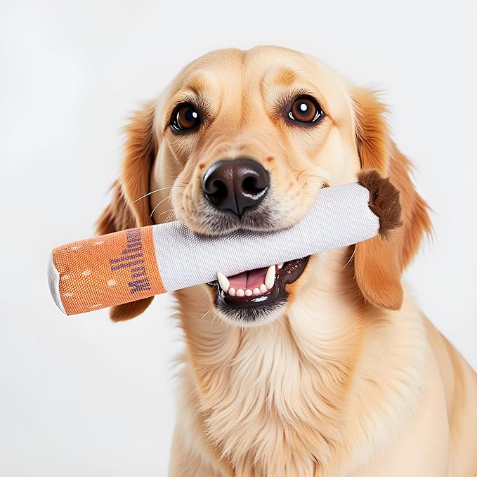 Nestpark Muttboro Doggy Cigs Funny Dog Toys - Parody Plush Squeaky Crinkle Interactive Dog Toy - Hide and Seek Treat Hiding Burrow Puzzle Toy for Stimulating Enrichment Activity