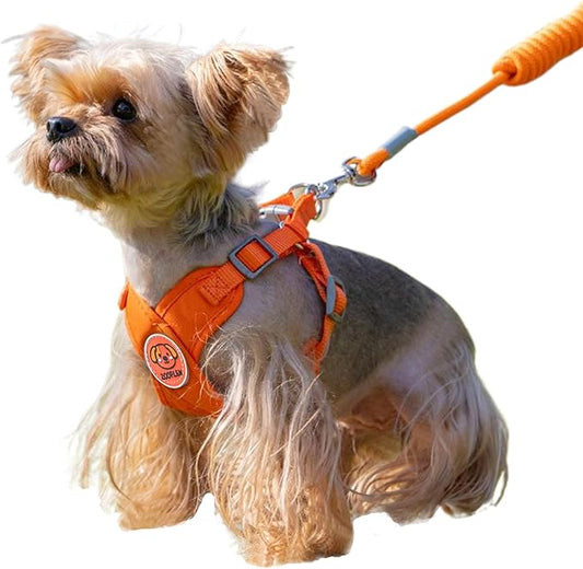 Dog Harness with Leash Set, Puppy Soft Vest No Choke No Pull, Adjustable Neck and Chest, Lightweight Harness and Anti-Twist Pet Leash Combo for Small to Medium Dogs (Orange, L-Large)