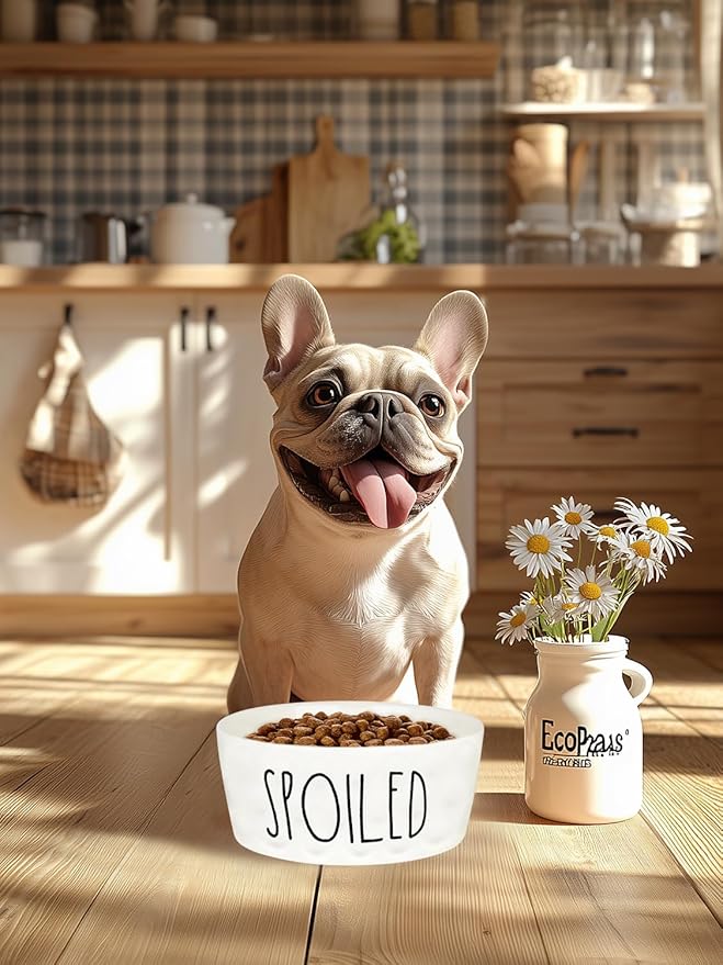 27OZ Ceramic Dog Bowl - 6 Inch Small Food Water Bowl, Heavy Duty Non-Slip Dog Dish for Medium Dogs, Food Grade Porcelain Pet Feeder Bowls, Microwave & Dishwasher Safe, White