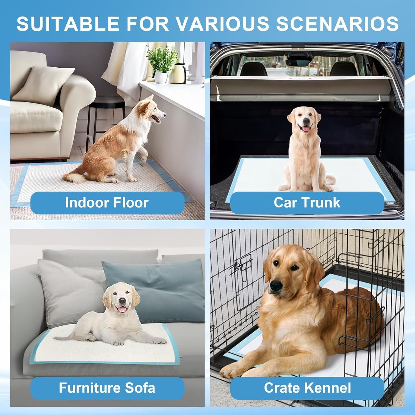 Puppy Pee Pads for Dogs Extra Large 31"x47" 100 Count, Leak-Proof & Super Absorbent, Thicken Disposable Potty Training Pads for Doggie Cats Rabbits, Quick Dry Pet Piddle Pad