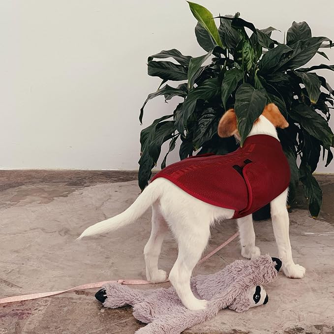 Queenmore XXL Dog Sweater, Soft Fleece Vest Pullover Dog Jacket with Leash Hole, Warm Winter Dogs Clothes Cold Weather Doggy Dachshund Sweaters for Large Dogs Cats Boy or Girl (Burgundy, XXL)