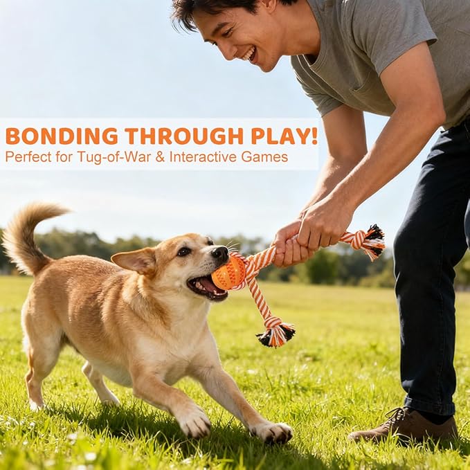 Puppy Chew Toys for Teething: Rope Dog Toys Durable Interactive Tug Play with Rubber Treat Ball for Small Medium Breed - Birthday Gift for Pet