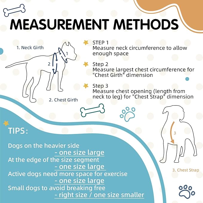 XS Dog Harness, Adjustable Step-in Design, Tri-Color, Heavy Duty, Easy Walk, for Small Dogs, Blue Orange