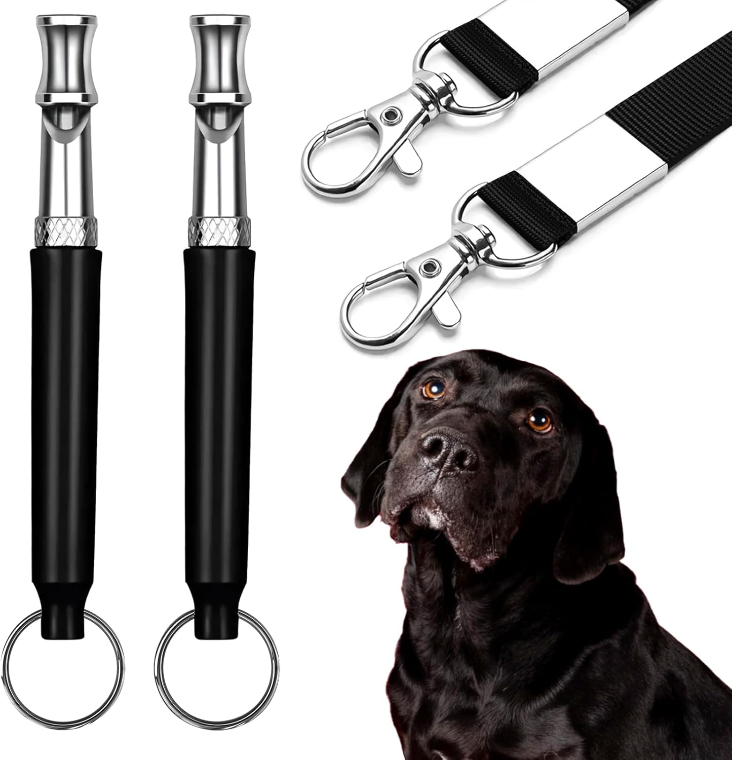 Dog Whistle - 2Pack Dog Whistle to Stop Barking Neighbor's Dog, Adjustable Ultrasonic Silent Dog Whistle,Helpful for Training Recall (Black with Lanyard)