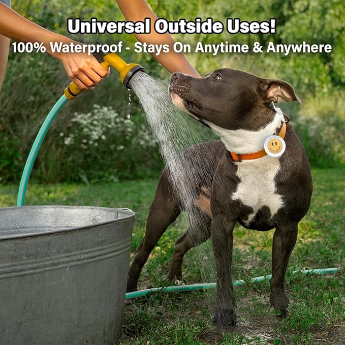 Bug-Off Clip for Dogs [2 Pack] Repels Flea, Tick & Ants for 60 Days, Natural Flea and Tick Repellent Collar [Made in Korea] Aegis by KN FLAX (Basketball & Smile)