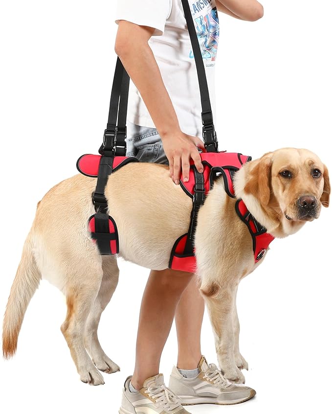 NOYAL Dog Lift Harness for Senior & Injured Pets – Full-Body Support Sling with Breathable Mesh, Front/Rear Leg Assist for Arthritis, Hip Dysplasia & Post-Surgery Recovery (Medium-Large Breeds)