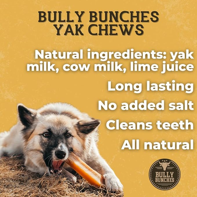 Bully Bunches Large Authentic Yak Cheese Himalayan Chews for Large Dogs & Heavy Chewers - All Natural Dog Treat Dental Chews, Made with Real Yak Milk - Lactose & Rawhide Free (6 Pk)
