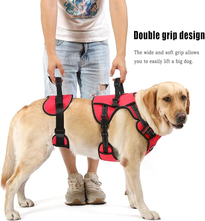 NOYAL Dog Lift Harness for Senior & Injured Pets – Full-Body Support Sling with Breathable Mesh, Front/Rear Leg Assist for Arthritis, Hip Dysplasia & Post-Surgery Recovery (Medium-Large Breeds)