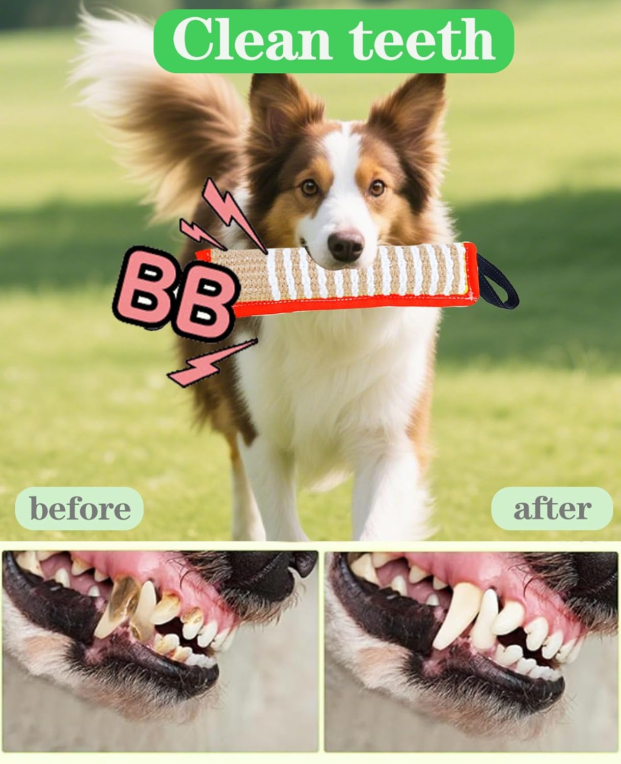 Clysoru Tug Toy for Dogs Squeaky Toy with 2 Strong Handles Lasting Training Equipment Puppy to Large Dog Interactive Toys of War Pull Indestructible Rope Pet Crinkle Teething (red)