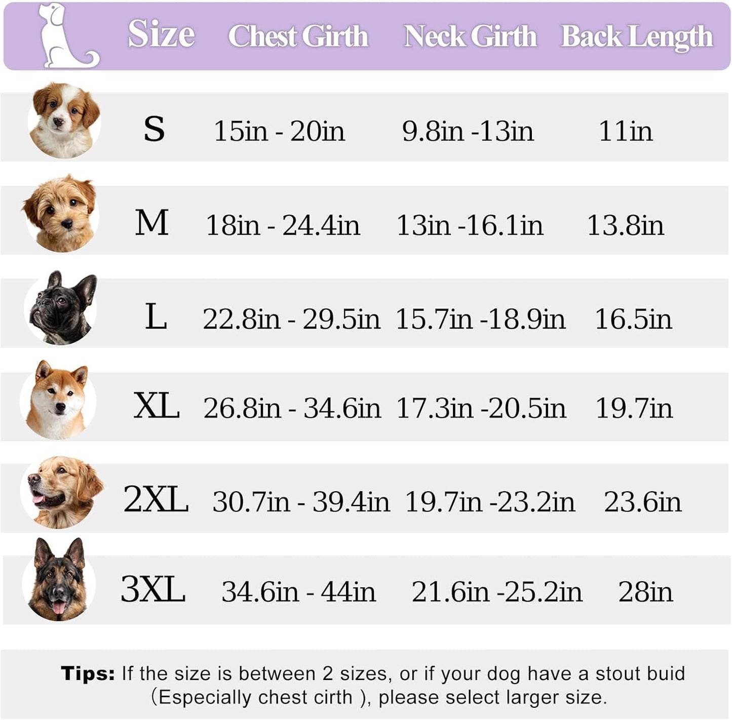 PETDSH Dog Coat Large, Windproof Dog Jacket with Warm Fleece Lining, Thickened Collar Dogs Winter Coat, Adjustable Reflective Pet Coats for Cold Weather (Purple, XX-Large)