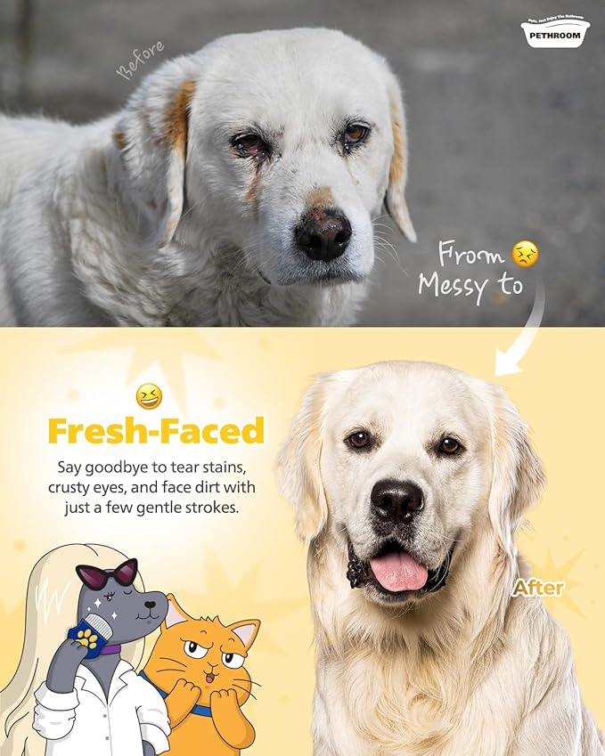 PETHROOM Professional Eye Comb for Pets | Stainless Steel Tear Stain Remover for Cats & Dogs | Gentle Round-Head Grooming Tool | Compact & Portable for Eye Gunk Removal