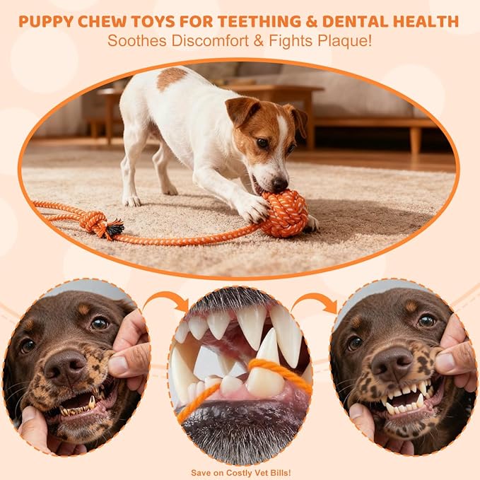 Puppy Chew Toys for Teething: Rope Dog Toys Durable Interactive Tug Play with Rubber Treat Ball for Small Medium Breed - Birthday Gift for Pet