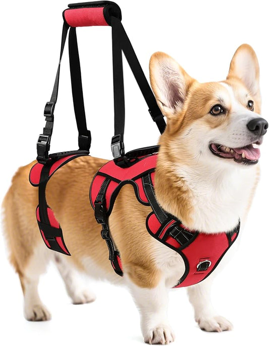 NOYAL Dog Lift Harness for Senior & Injured Pets – Full-Body Support Sling with Breathable Mesh, Front/Rear Leg Assist for Arthritis, Hip Dysplasia & Post-Surgery Recovery (Medium-Large Breeds)