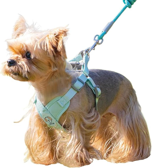 Dog Harness with Leash Set, Puppy Soft Vest No Choke No Pull, Adjustable Neck and Chest, Lightweight Harness and Anti-Twist Pet Leash Combo for Small to Medium Dogs (Green, S-Small)