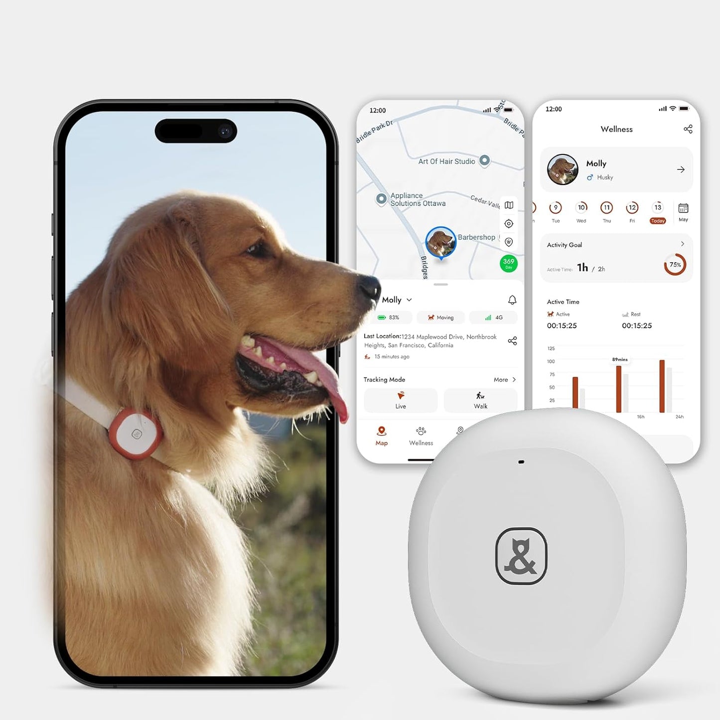 Molly&Cody GPS + Bluetooth Pet Tracker for Cats & Dogs – Real‑Time Tracking, Virtual Fence, IP67 Waterproof, Up to 60‑Day Battery, Health Monitoring, iOS/Android – 3‑Month Subscription Included(White)