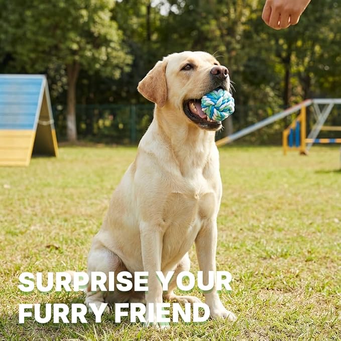 Braided Rope Dog Toy Balls - 2 Pack Dog Rope Ball Toy for Aggressive Chewers, Chew Toys for Medium Dogs, Teething Chewing and Boredom Relief