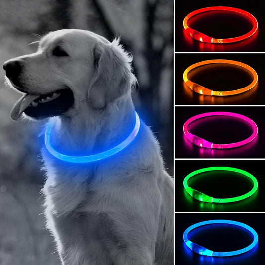 BSEEN Light Up Dog Collar - 360° Visible Rainproof LED Dog Collar Rechargeable - TPU Cuttable Glowing Pet Collar for Small Medium Large Dogs - Safety Dog Lights for Night Walking& Camping (Blue 70cm)