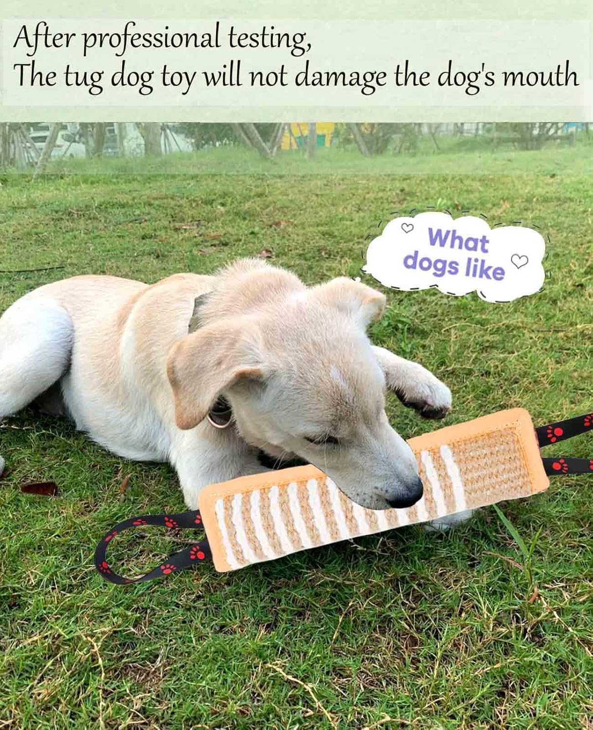 Clysoru Dog Tug Toy Dog Tough Jute Bite Pillow Lasting Training Equipment Two Flag Handles Puppy to Large Dogs Interactive Toy war Toys for Aggressive chewers