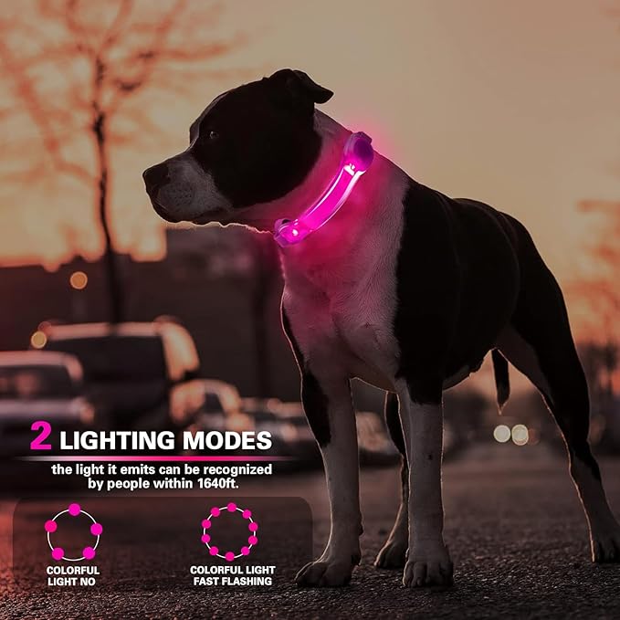 2 Pack LED Light for Dog Leash Harness, Light Up Dog Collar with Nylon Stickers, Waterproof Glow Light Easy to Attach to Collar Leash and Harness, Safety LED Light Up Band for Dogs at Night Walking