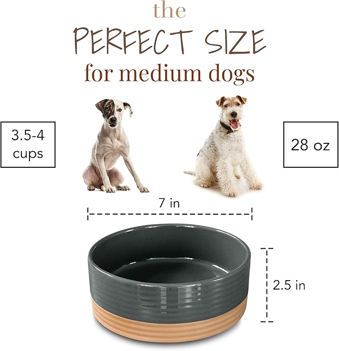 Mora Ceramic Pet Bowl Size Medium - Food/Water Dish for Large Puppies, Cats, Retrievers, Medium Sized Dogs, ect. 28oz or 4 Cups - Basic Bowls for Your Dog or Cat, Mix and Match for a Set - Charcoal
