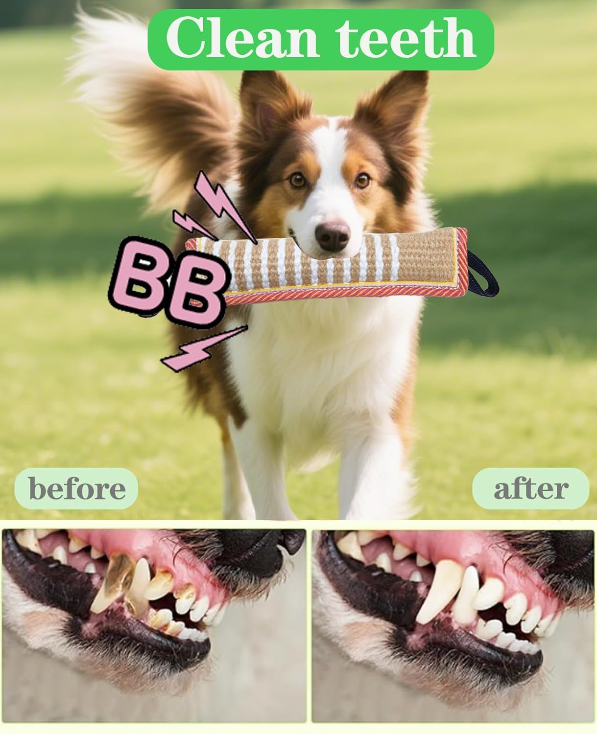 Clysoru Tug Toy for Dogs Squeaky Toy with 2 Strong Handles Lasting Training Equipment Puppy to Large Dog Interactive Toys of War Pull Indestructible Rope Pet Crinkle Teething (Flower)