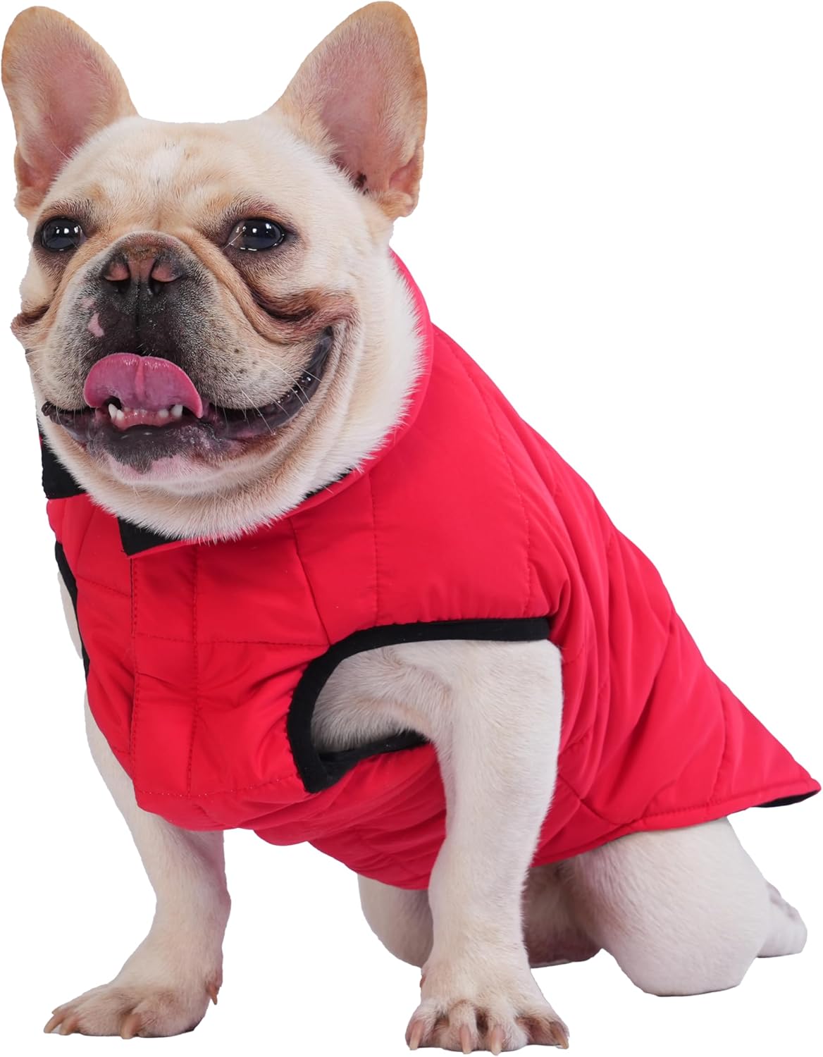 PetWarm Reversible Dog Winter Coat, Windproof Dog Puffer Vest, Soft Vest for Dogs with Hook-and-Loop Strap for Easy Dressing, Waterproof Coat for Dogs with Adjustable Fit, Red, 2XL