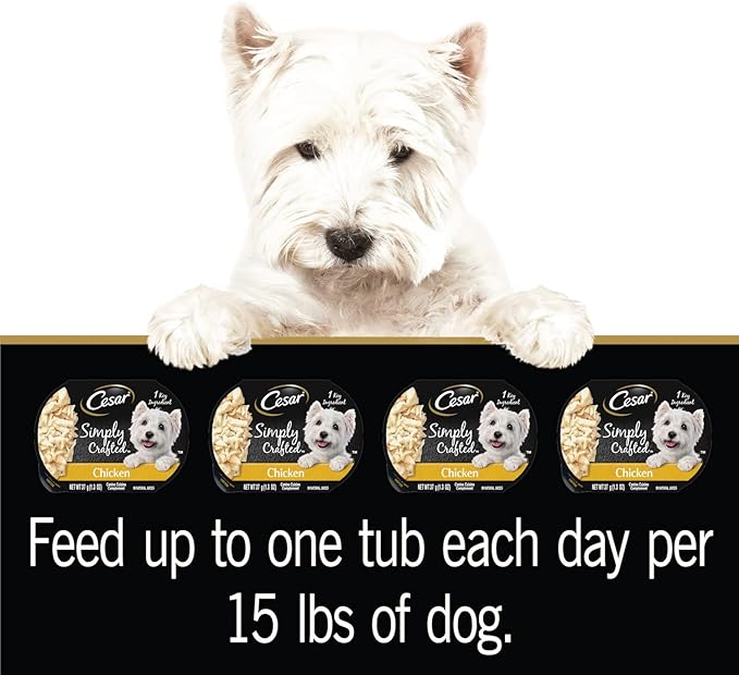 Cesar Simply Crafted Adult Wet Dog Food Meal Topper, Chicken, 1.3 oz. Tubs (24 Count, Pack of 1)