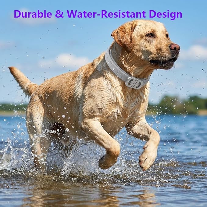 Flea and Tick Collar for Dogs 4 Packs,Dog Collars with Natural Essential Oils,Waterproof, Adjustable for Small Medium Large Dogs,Safe for Puppies (Gray) (Gray)