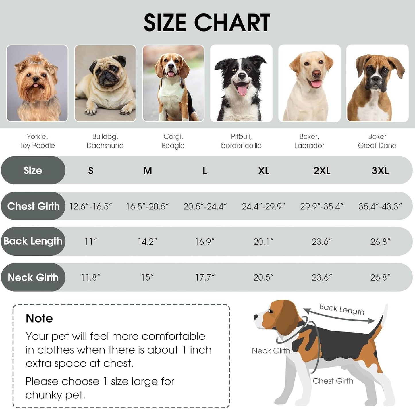 Queenmore Winter Dog Jacket - Warm Reflective, Waterproof Coat for Small Dogs, Grey, S