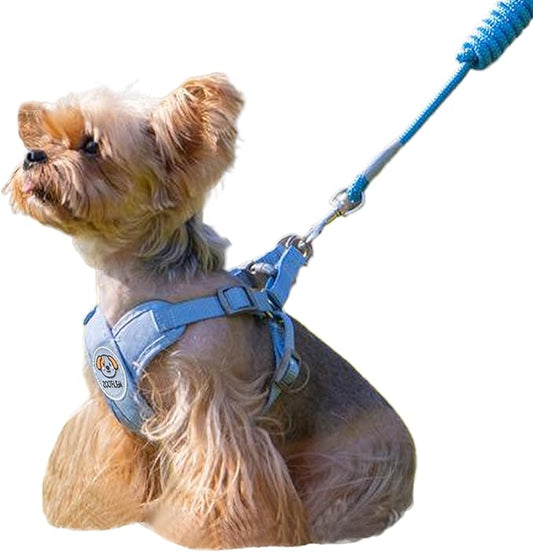 Dog Harness with Leash Set, Puppy Soft Vest No Choke No Pull, Adjustable Neck and Chest, Lightweight Harness and Anti-Twist Pet Leash Combo for Small to Medium Dogs (Blue, L-Large)