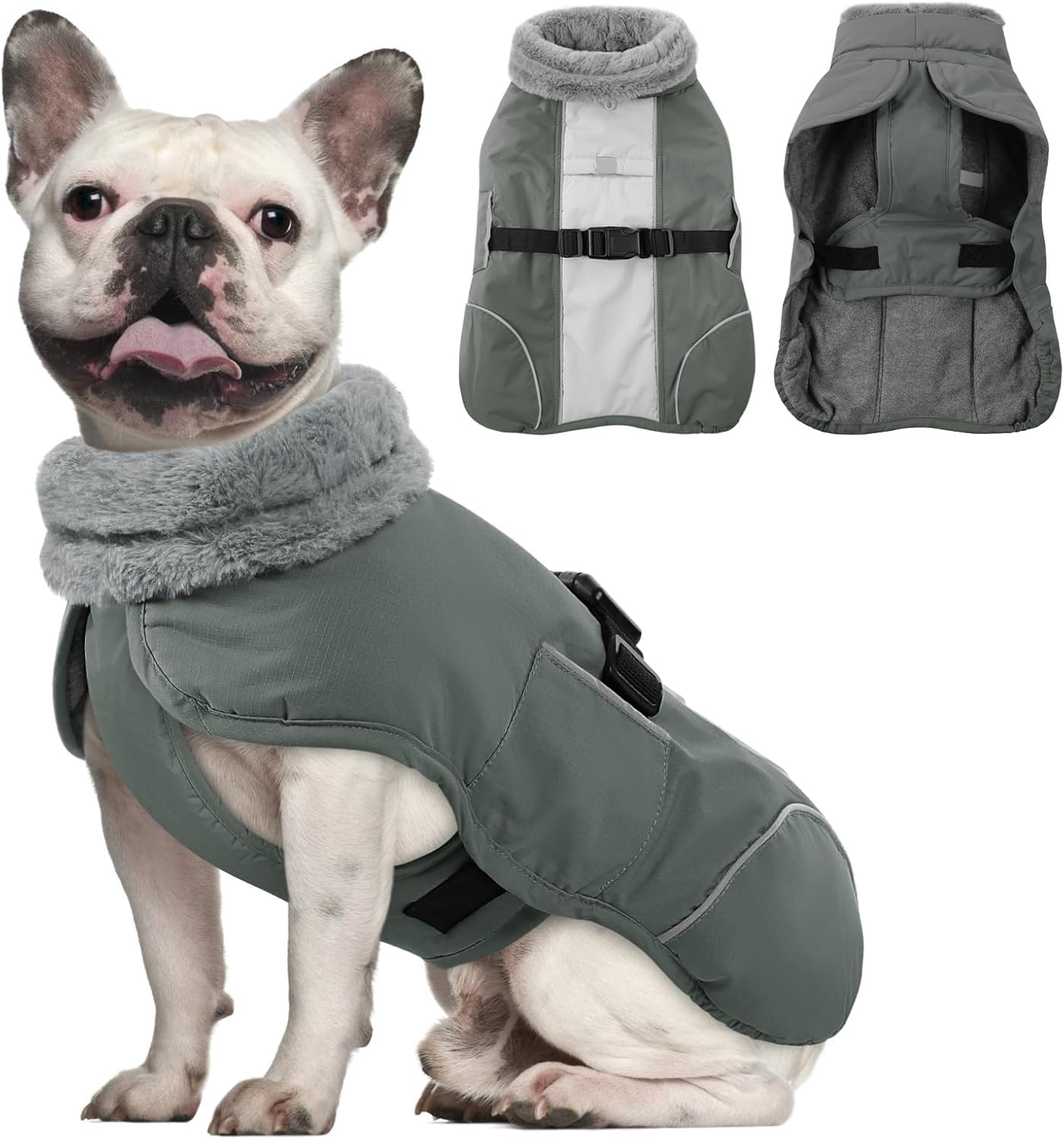 Queenmore Winter Dog Jacket - Warm Reflective, Waterproof Coat for Small Dogs, Grey, S