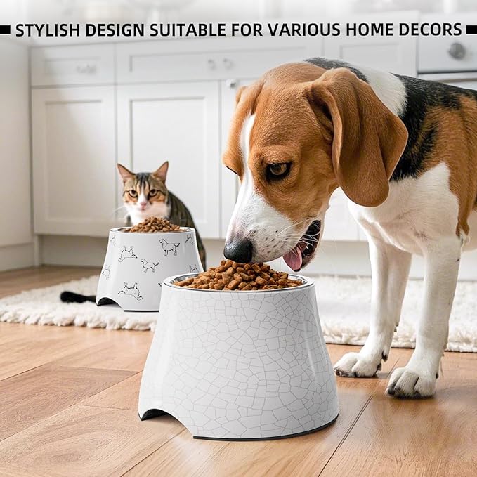 Elevated Dog Bowls with Stainless Steel Bowl, Prevention of Vertebrae Disease Dog Food Bowl, Non-Slip and High Capacity Pet Bowls Crackle Design M/2 Cup